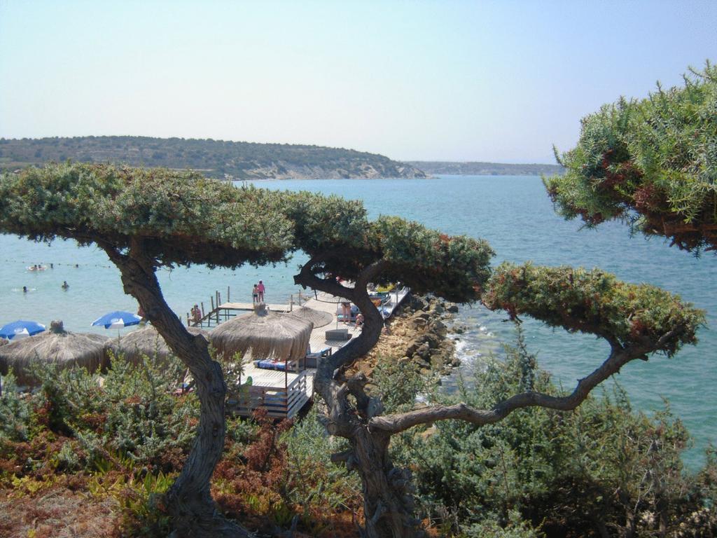 Babaylon Hotel Çeşme 외부 사진